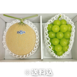 【大阪中央卸売市場から】メロン＆シャインマスカット　ギフトにおすすめ　7月上旬～8月上旬