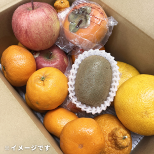 【大阪中央卸売市場から】＜訳あり＞早春の国産フルーツ約3kg フードロス削減に貢献！