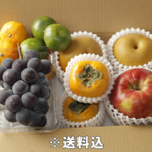 【大阪中央卸売市場から】＜贈答クラス＞内容はお任せ！秋の国産フルーツ詰合せ約2㎏
