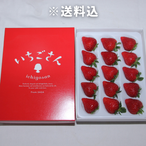 【大阪中央卸売市場から】＜正品＞佐賀県産いちごさん　約450g　※12月