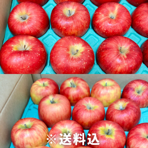 【大阪中央卸売市場から】＜正品＞こだわりリンゴ「恋桜」（奥州ロマン）5㎏ フードロス削減に貢献！