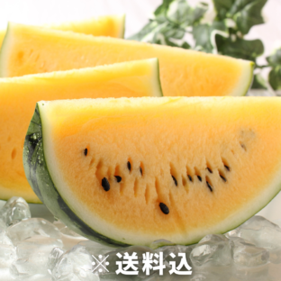【大阪中央卸売市場から】超高糖度！黄金すいか「金色羅皇」２L（約7㎏）※5月上旬～6月上旬