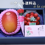 母の日マンゴーセット 楽天市場】母の日 ギフト 宮崎マンゴー (2L×2玉/約700g) 宮崎産
