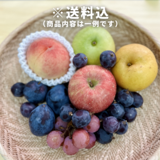 【大阪中央卸売市場から】＜訳あり＞秋の国産フルーツ約2kg フードロス削減に貢献！