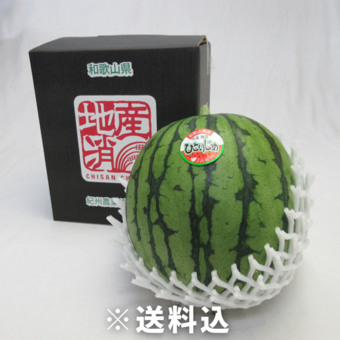 【大阪中央卸売市場から】小玉すいか「ひとりじめ」※6月上旬～6月下旬
