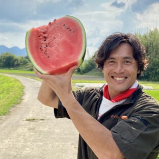 美味しいスイカの見分け方｜鳥取のすいか（大玉）甘い！シャリシャリ｜おすすめの通販