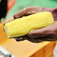 国産の『ほしいも』お取り寄せで大人気！西野さんのほしいも｜干し芋が高い理由を徹底取材！