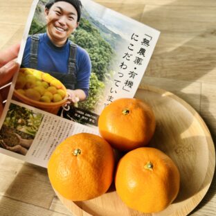 和歌山の柑橘特集〜！特徴や食べ方解説。国産低農薬レモン・木成り八朔・清見オレンジ・津之望