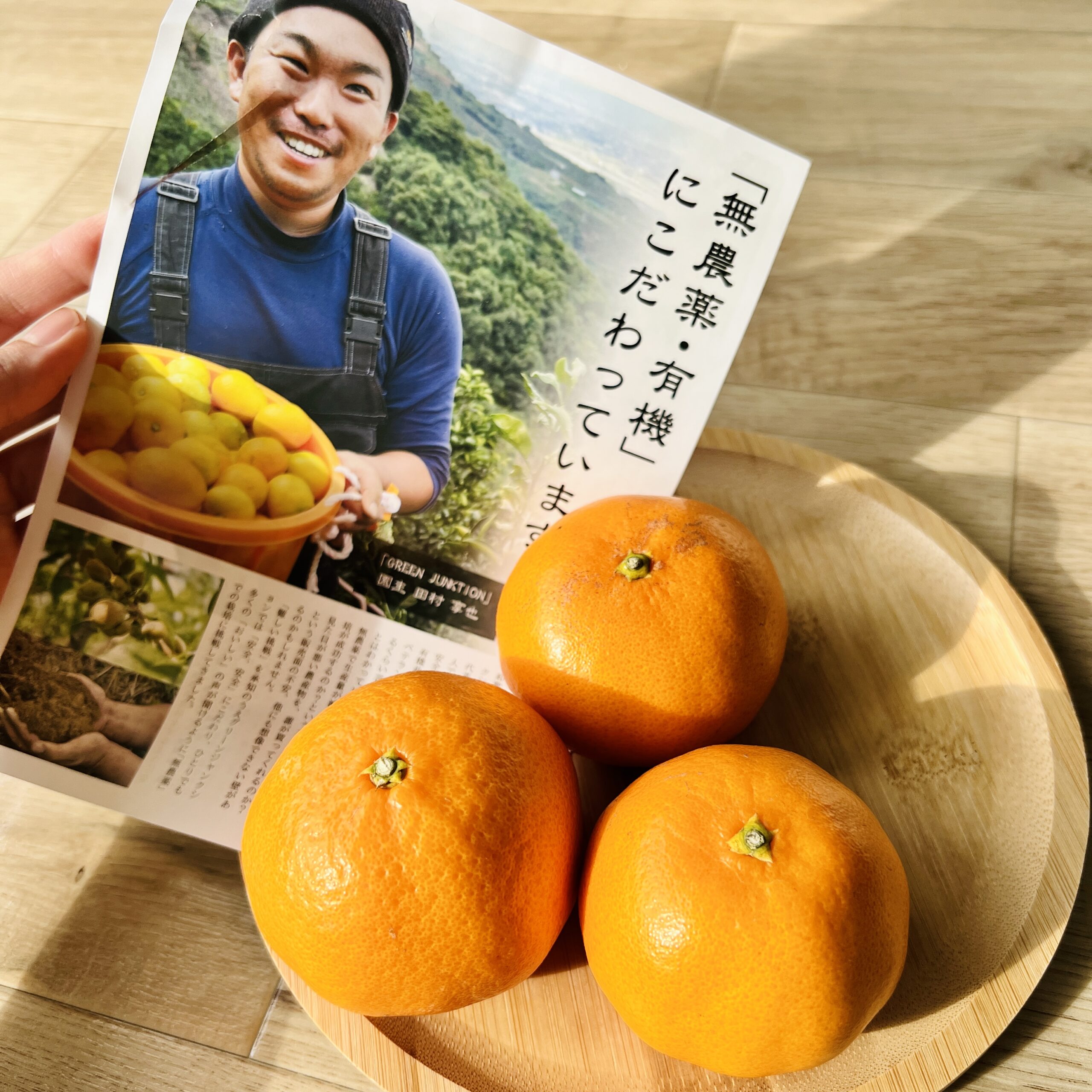 和歌山の柑橘特集〜！特徴や食べ方解説。国産低農薬レモン・木成り八朔