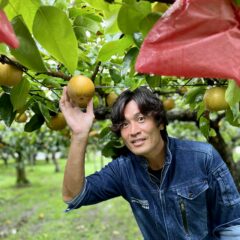 梨の旬　梨農家さんに聞いた！美味しい梨の見分け方　品種の特徴も解説！