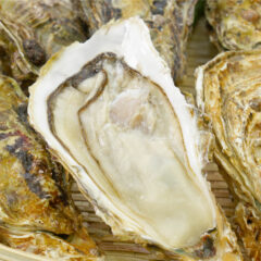 牡蠣の一番美味しい時期はいつ？どこの産地が良いの？殻付き牡蠣の超簡単な食べ方は？