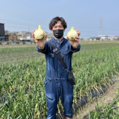 新玉ねぎとは？旬はいつ？特徴や食べ方の紹介　淡路島でおすすめの新玉ねぎの通販