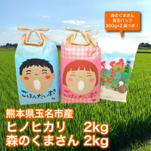 【熊本県玉名市】《元ラガーマンが作る低農薬米》ヒノヒカリ2kg　森のくまさん2kg　食べ比べセット（森のくまさん真空パック300g×2袋つき！）