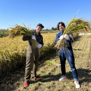 【食育】大畑大介商店×大本商店　 2022年新米収穫 in 熊本県玉名市