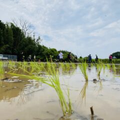 大畑大介の食育活動｜田植え体験&泥んこラグビー