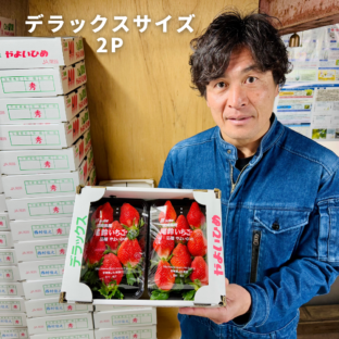 【宮崎県川南町】現役ラガーマンも作るいちご「やよいひめデラックス」大畑ラグビーコラボ企画