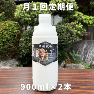 月イチ定期便【千葉県館山市】A２タイプのジャージーミルク900㎖×2本　※超新鮮・低温殺菌・ノンホモ