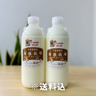 スポット購入用【千葉県館山市】A２タイプのジャージーミルク900㎖×2本　※超新鮮・低温殺菌・ノンホモ