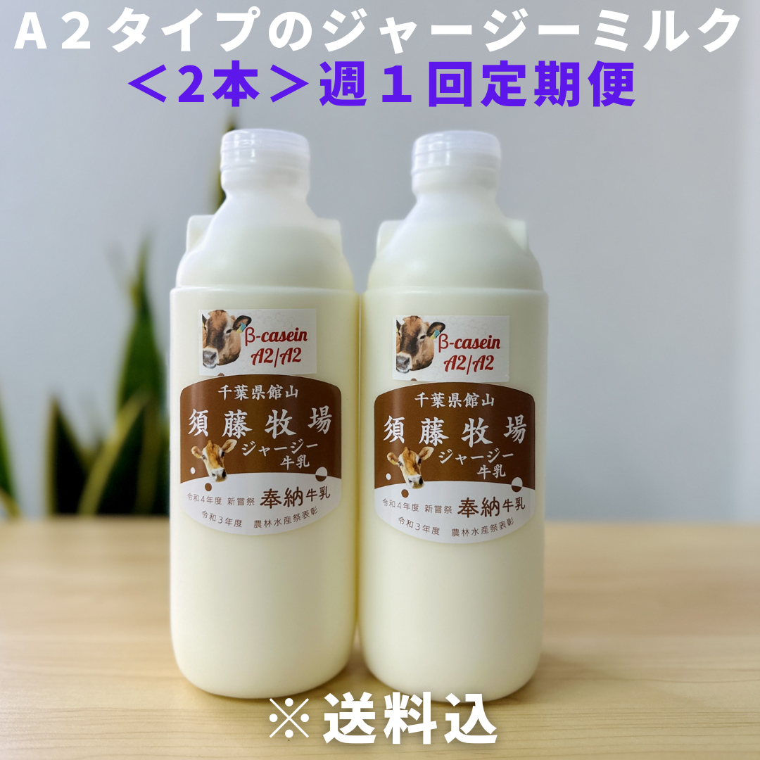 週1定期便【千葉県館山市】A2タイプのジャージーミルク900㎖×2本 ※超