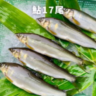※6月上旬〜9月末【和歌山県白浜】鮎（17尾）