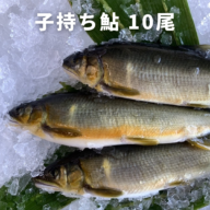 ※8月下旬〜10月中旬【和歌山県白浜】子持ち鮎 （10尾）　（10月は冷凍で発送）