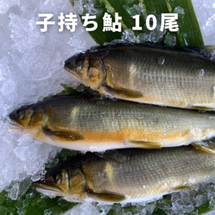 【和歌山県白浜】子持ち鮎 （10尾）　※8月下旬〜10月下旬販売（10月は冷凍で発送）