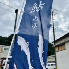 鮎（あゆ）　天然アユと養殖アユの違い　旬（一番美味しい時期）を解説！