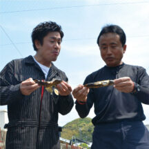 鮎（アユ）おすすめの通販｜天然に限りなく近い和歌山の養殖鮎！｜美味しい鮎の塩焼きの仕方も伝授